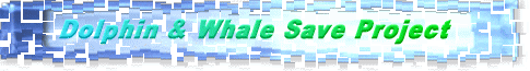 �C���J���N�W���~���v���W�F�N�g